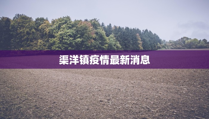 疫情最新报西藏