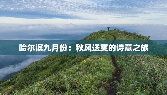 鸡泽最新疫情更新 鸡泽最新疫情更新