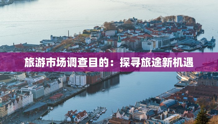 旅游市场调查目的：探寻旅途新机遇