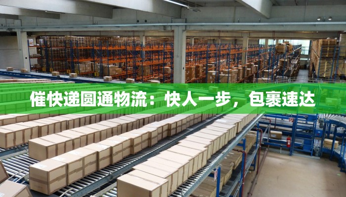 催快递圆通物流：快人一步，包裹速达