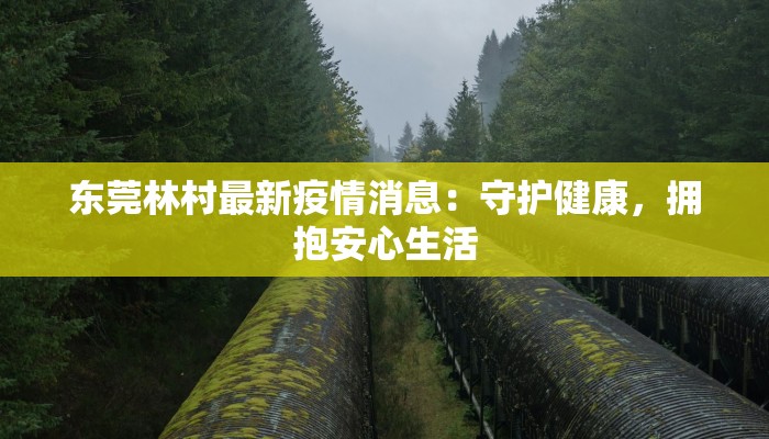 东莞最新疫情东华：守护健康，东华医疗引领未来