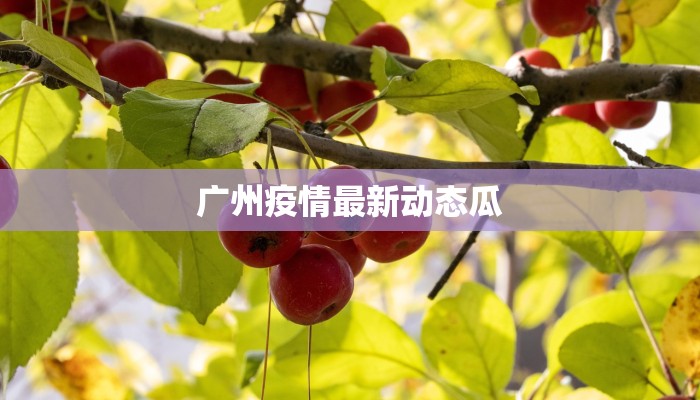 广州疫情最新动态瓜