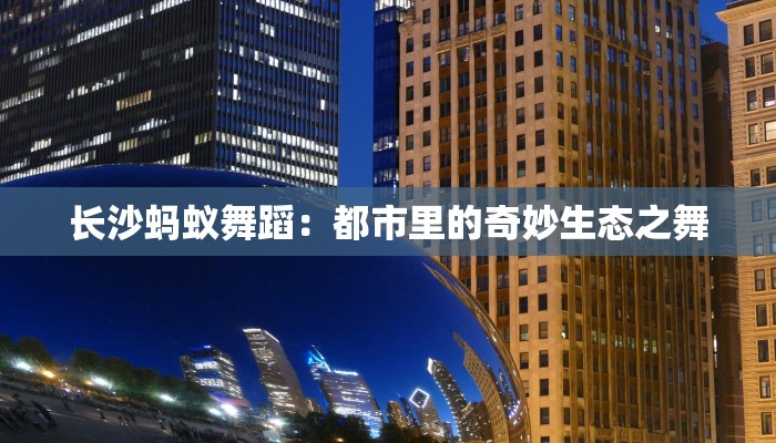 长沙蚂蚁舞蹈:都市里的奇妙生态之舞 长沙蚂蚁舞蹈:都市里的奇妙生态之舞