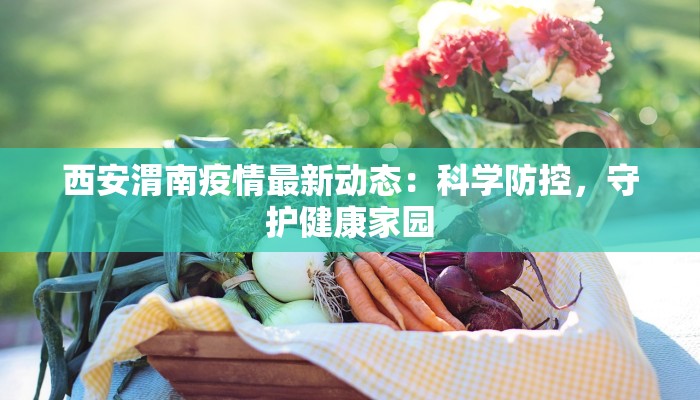 西安渭南疫情最新动态:科学防控,守护健康家园 西安渭南疫情最新动态:科学防控,守护健康家园