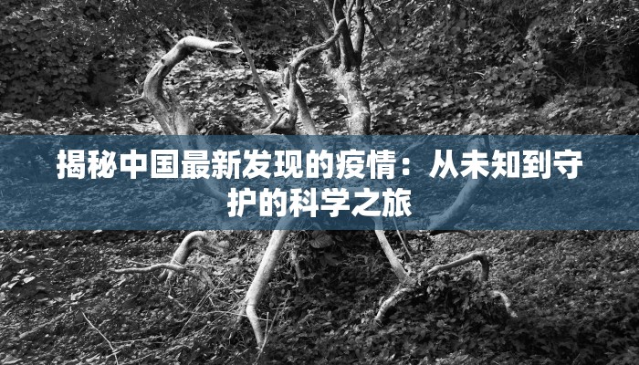 内蒙昆区疫情最新通报 内蒙昆区疫情最新通报