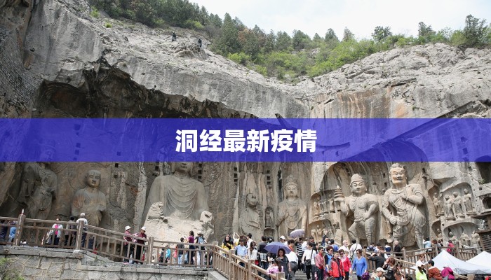 洞经最新疫情