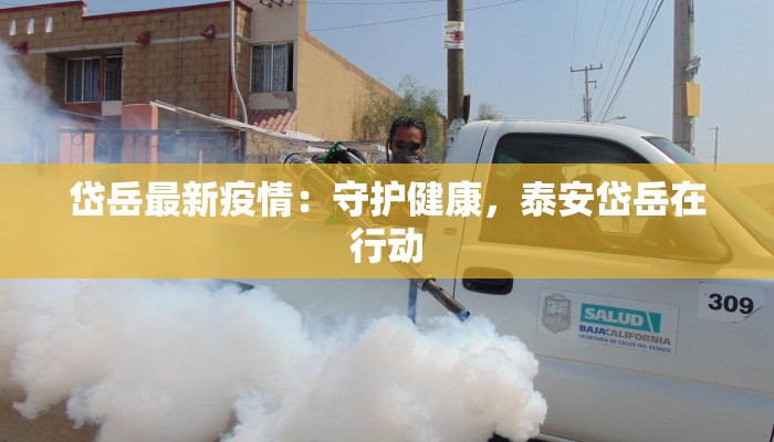 岱岳最新疫情：守护健康，泰安岱岳在行动