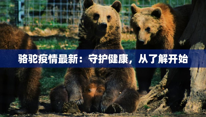 大丰附近最新疫情动态:科学防控,守护健康生活 大丰附近最新疫情动态:科学防控,守护健康生活