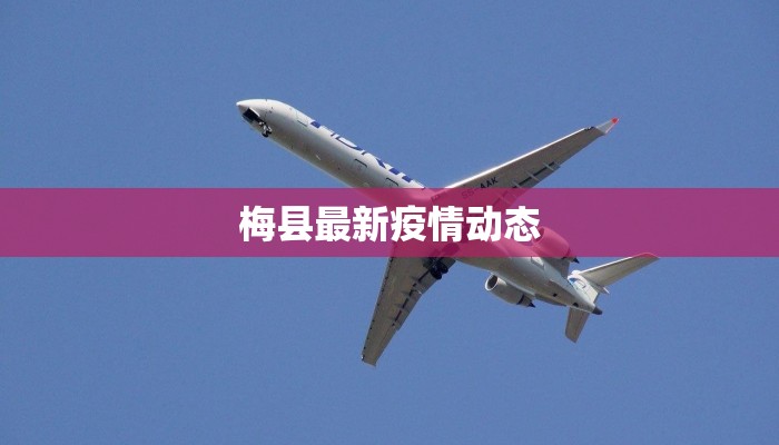 梅县最新疫情动态 梅县最新疫情动态