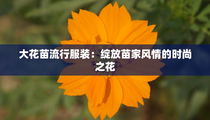 大花苗流行服装：绽放苗家风情的时尚之花
