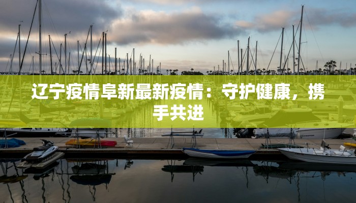 辽宁疫情阜新最新疫情：守护健康，携手共进