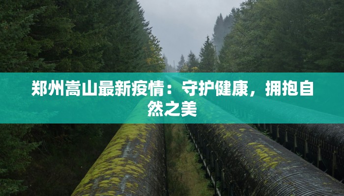 邮行李用物流还是快递?揭秘最优出行方案 邮行李用物流还是快递?揭秘最优出行方案