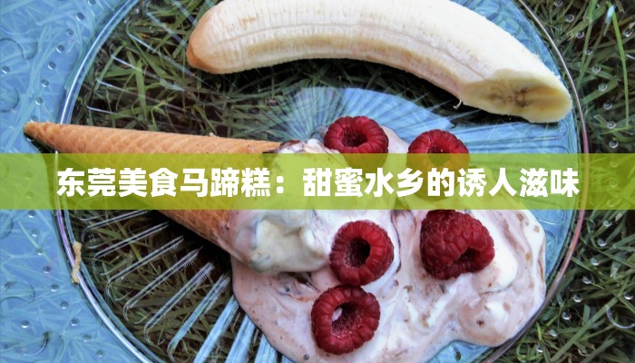 东莞美食马蹄糕:甜蜜水乡的诱人滋味 东莞美食马蹄糕:甜蜜水乡的诱人滋味