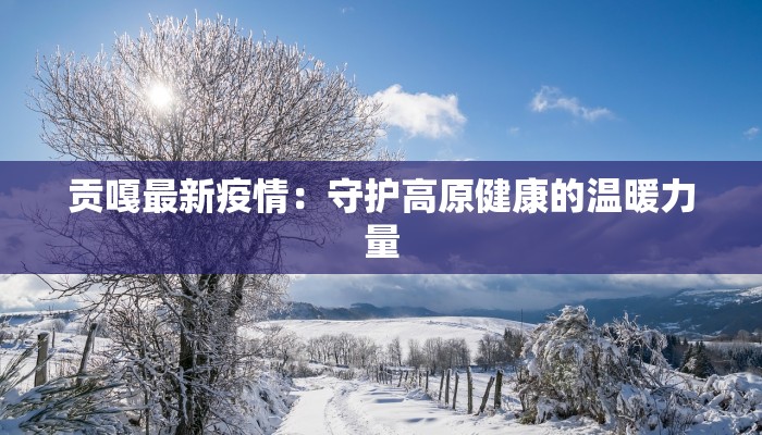 贡嘎最新疫情：守护高原健康的温暖力量